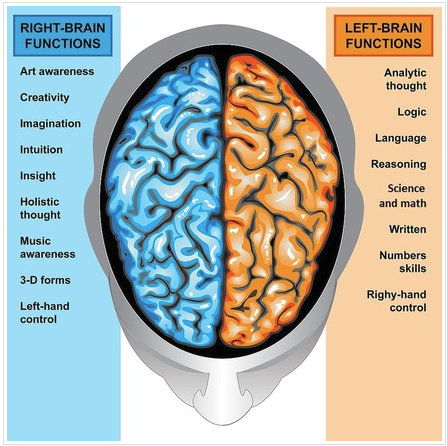 Left and right brained thinking