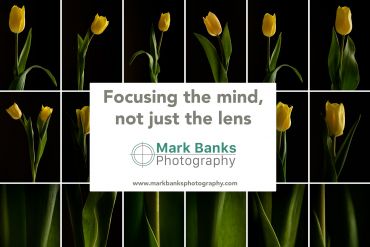 Focusing the mind, not just the lens