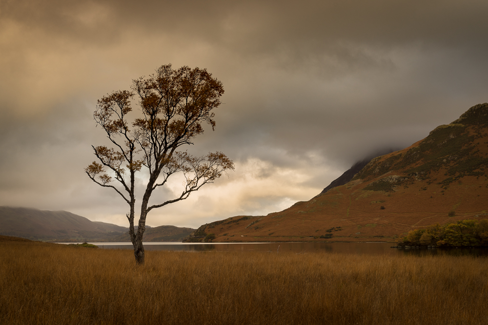 Sign up for Tips, Tricks and Landscape Photography Workshops