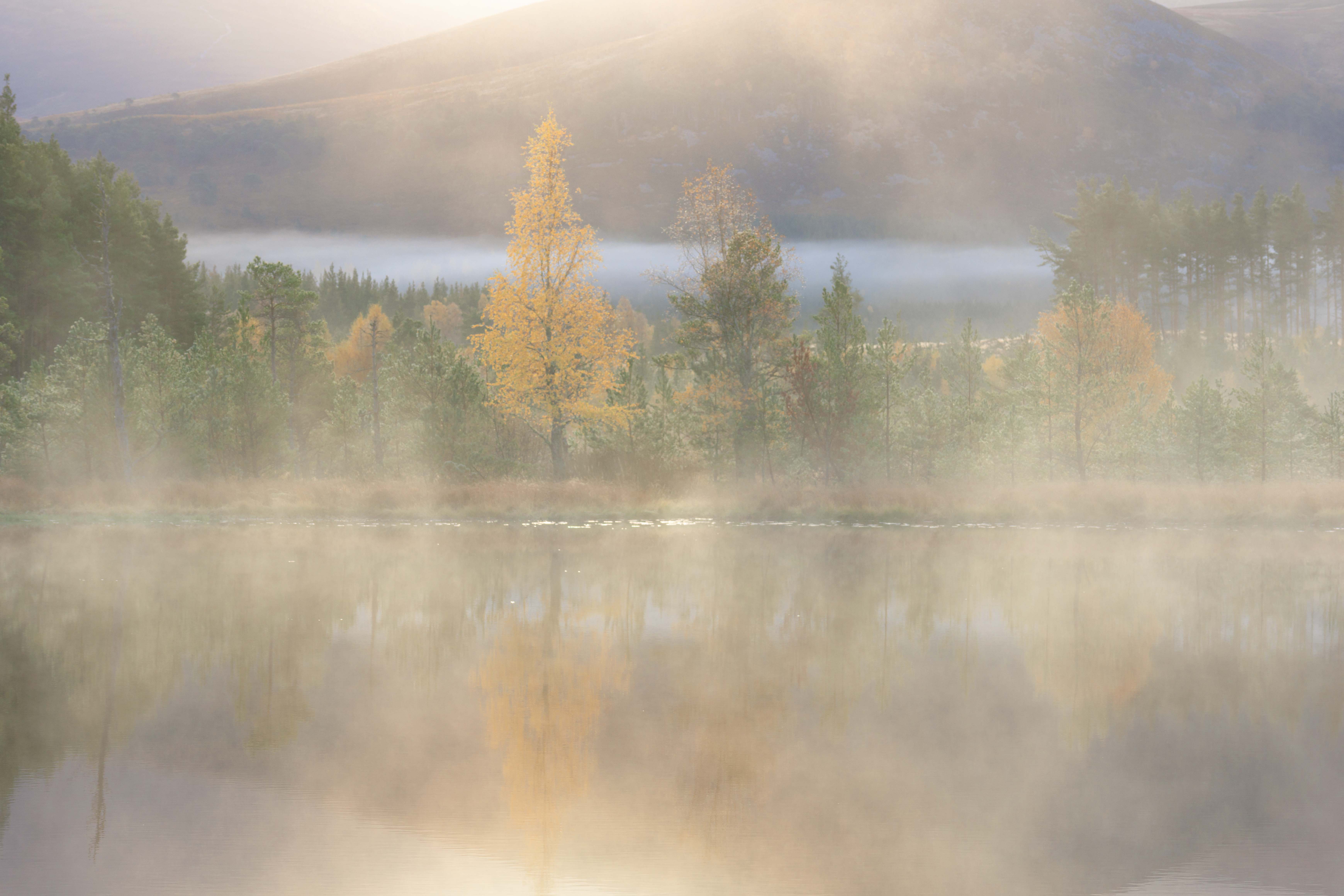 Colours of the Cairngorms