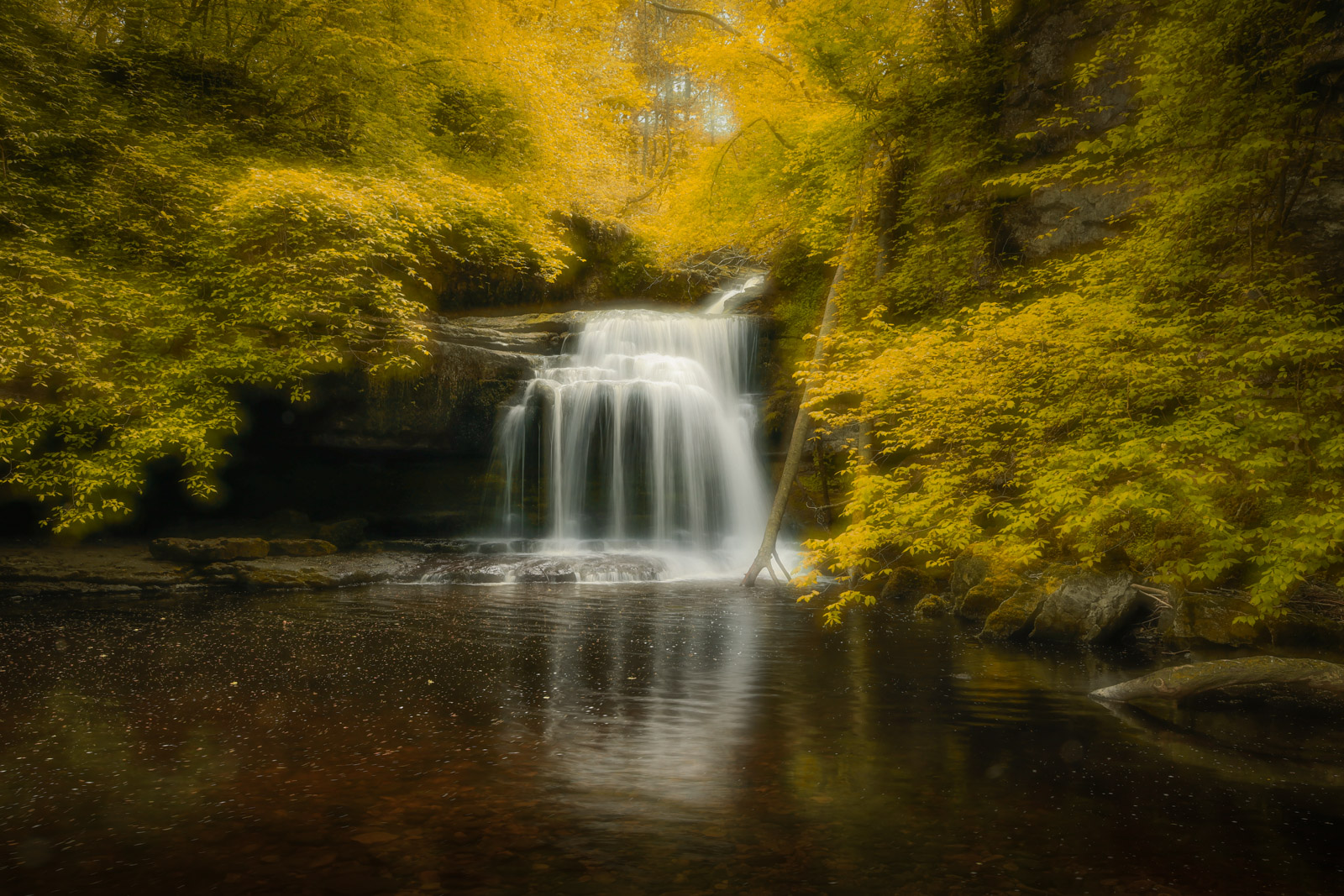 Yorkshire Dales Autumn Masterclass