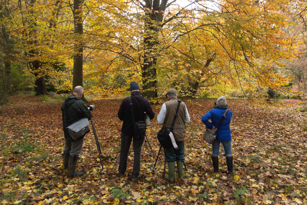 Photography Workshops