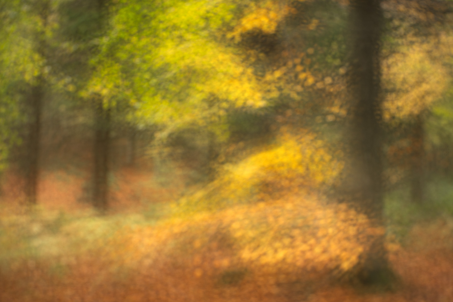 Lensbaby: Imperfection with Purpose