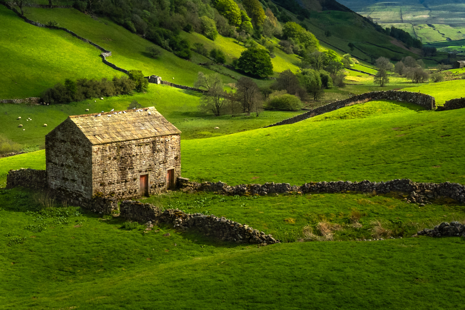 Dales Barn 1