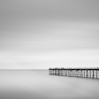 BlackWhite 12