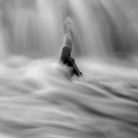 BlackWhite 13