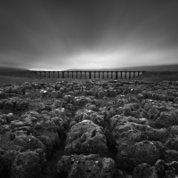 BlackWhite 5