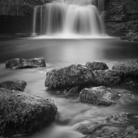 BlackWhite 7