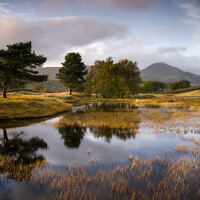 Autumn Colours - Lake District