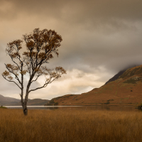 Autumn Colours - Lake District