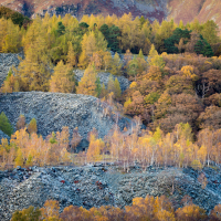 Autumn Colours - Lake District