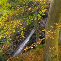 Falling Foss autumn colours (RPS)