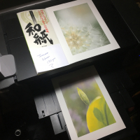 Printing Masterclass: Yorkshire Dales