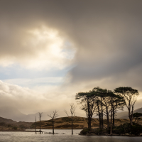 Assynt