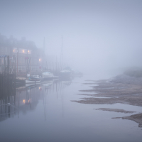 New Norfolk 5