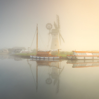 New Norfolk 7
