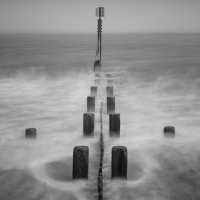 New Norfolk 9