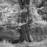 Perthshire 1