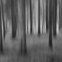 Perthshire 16