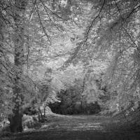 Perthshire 2