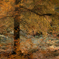 Perthshire 20