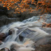 Perthshire 24