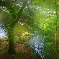 Perthshire 3