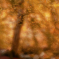 Perthshire 32