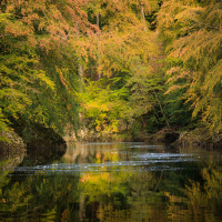 Perthshire 4