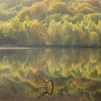 Perthshire 6