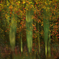 Perthshire 7