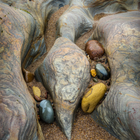 Shoreline Studies