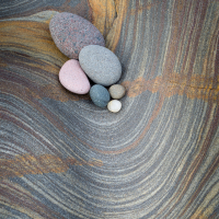 Shoreline Studies
