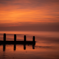 Sussex