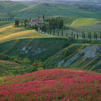 Tuscany 11