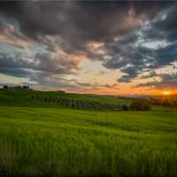 Tuscany 12
