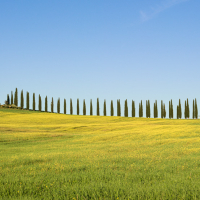 Tuscany 2