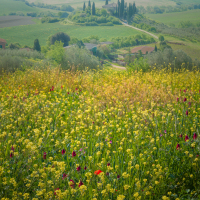 Tuscany 3
