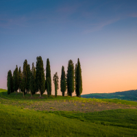 Tuscany 9