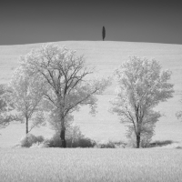 TuscanyBW 10