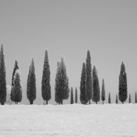 TuscanyBW 2