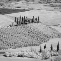 TuscanyBW 4