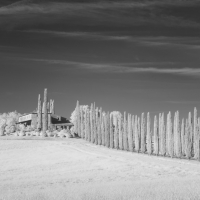 TuscanyBW 6