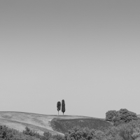 TuscanyBW 7
