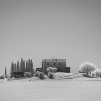 TuscanyBW 8