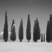 TuscanyBW 9
