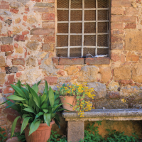 TuscanyCameo 5
