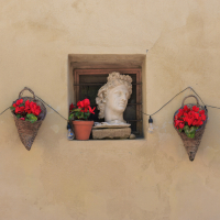 TuscanyCameo 6