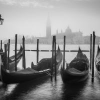 Venice Black & White