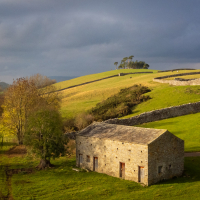 Yorkshire Dales Autumn 11